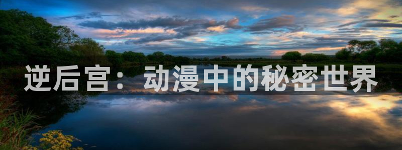 动漫之家没了吗：逆后宫：动漫中的秘密世界