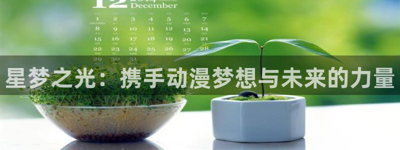 动漫之家下载入口：星梦之光：携手动漫梦想与未来的力量