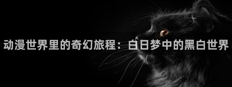 动漫之家为什么看不了漫画：动漫世界里的奇幻旅程：白日梦中的黑白世界